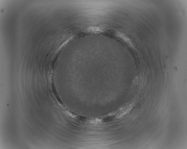 X0000067900576200604201338