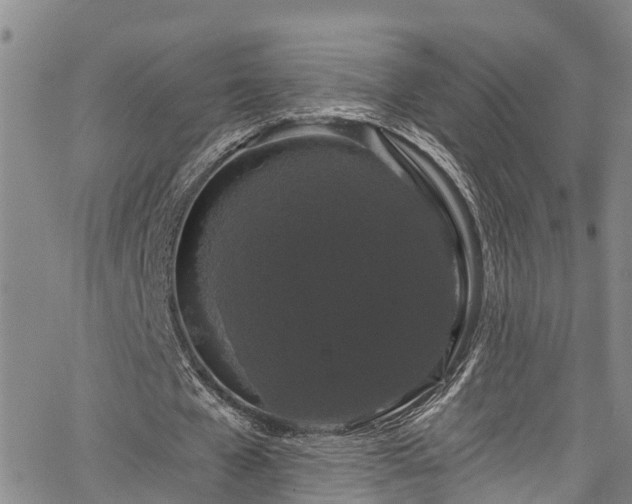 X0000067900577200604201337