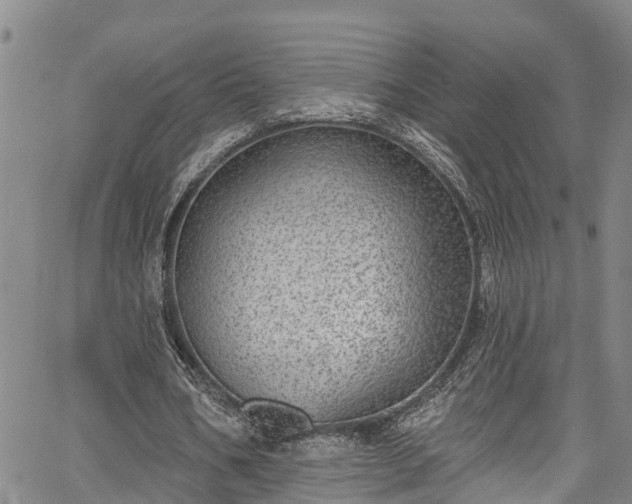 X0000067900578200604201337