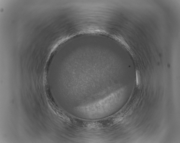 X0000067900579200604201337