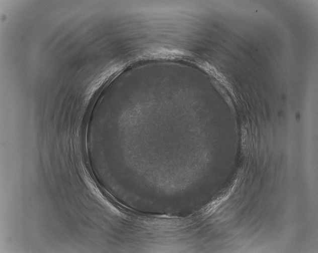 X0000067900581200604201337