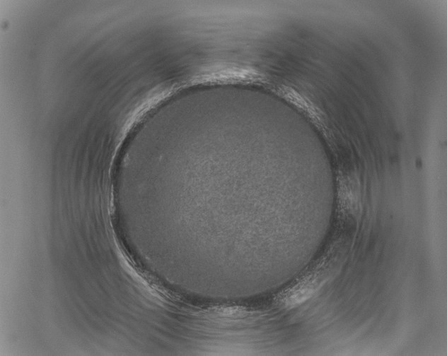 X0000067900582200604201337