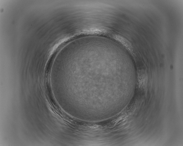 X0000067900583200604201337