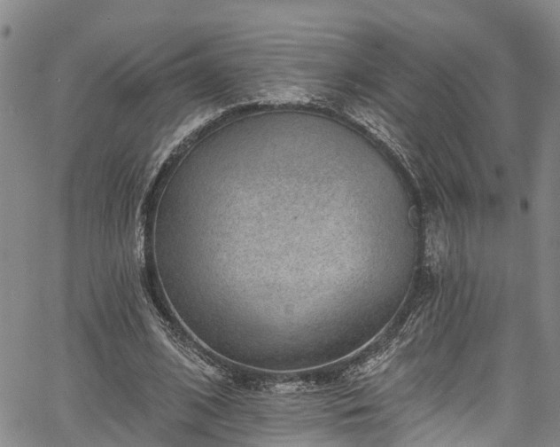 X0000067900584200604201337