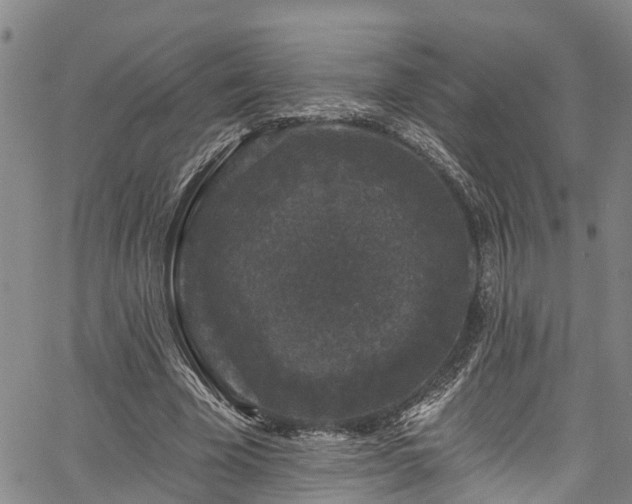 X0000067900585200604201337