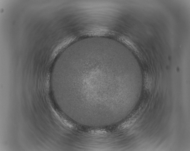 X0000067900586200604201337