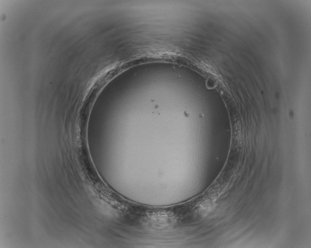 X0000067900587200604201337