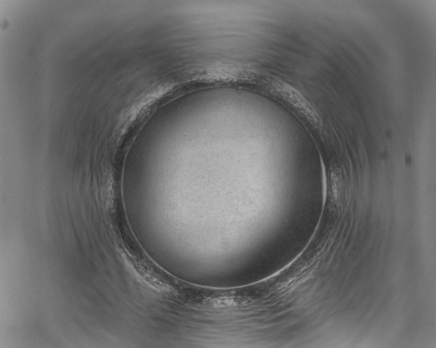 X0000067900588200604201337