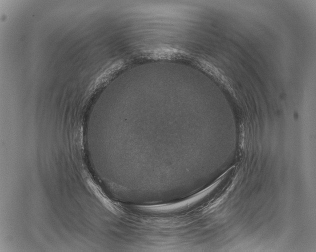 X0000067900589200604201337