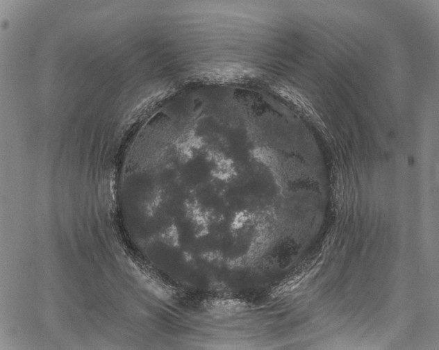 X0000067900590200604201337