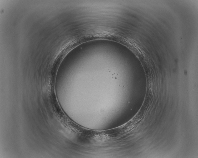 X0000067900591200604201337