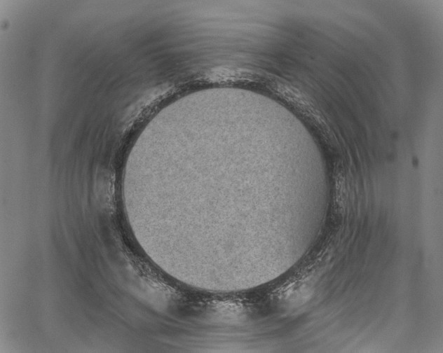 X0000067900592200604201337