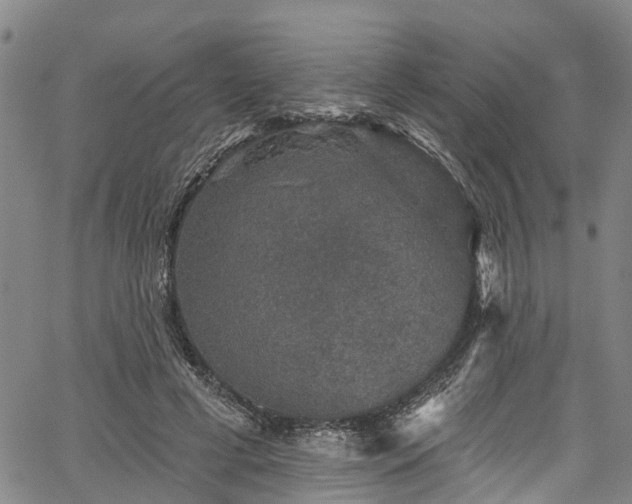 X0000067900593200604201337