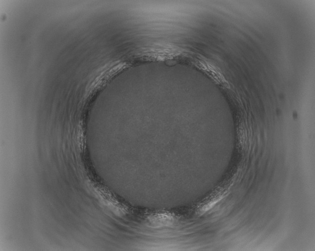 X0000067900594200604201337