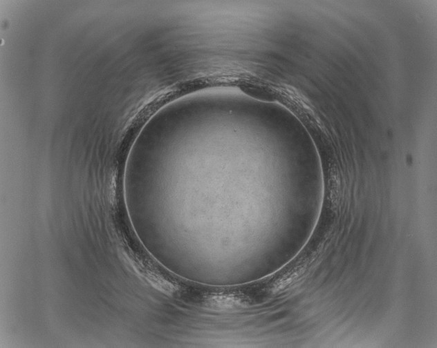 X0000067900596200604201337