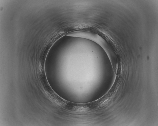 X0000067900597200604201337