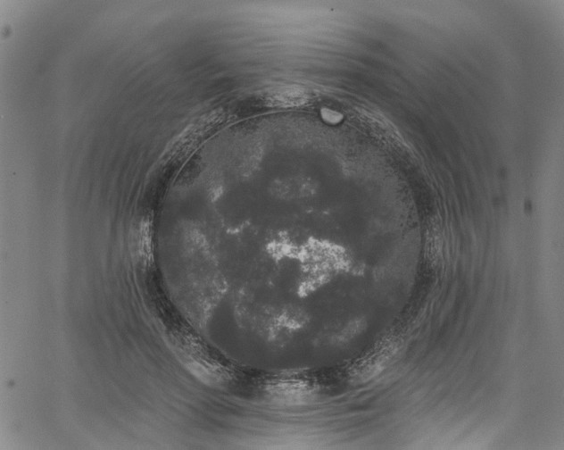 X0000067900598200604201337