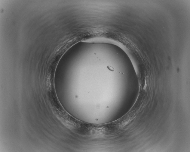 X0000067900599200604201337