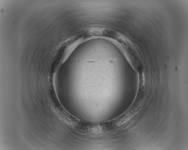 X0000067900600200604201337