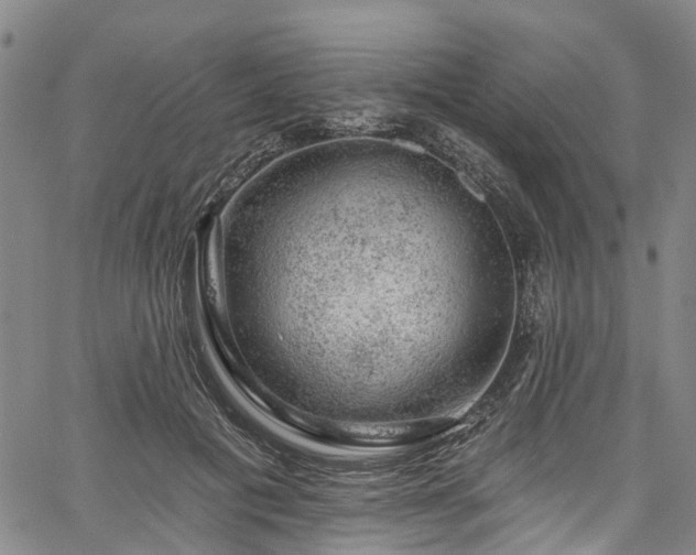 X0000067900601200604201337