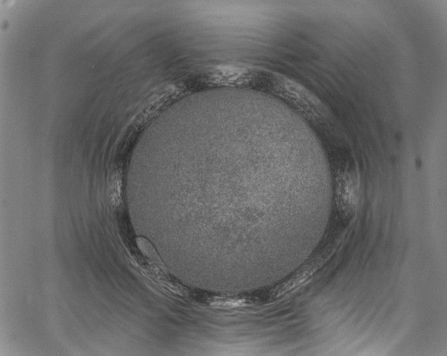 X0000067900602200604201337