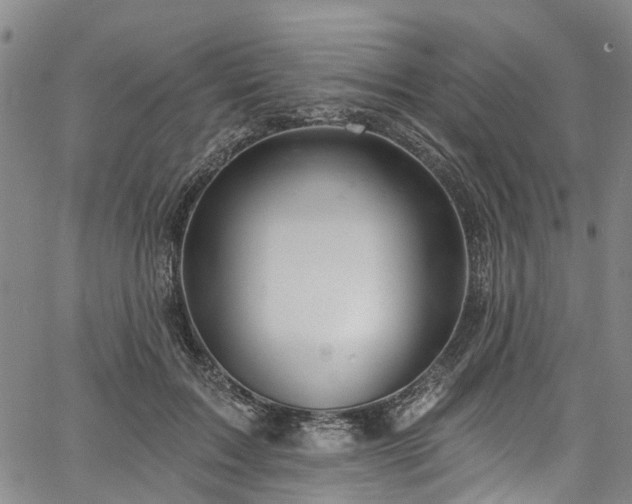 X0000067900603200604201337