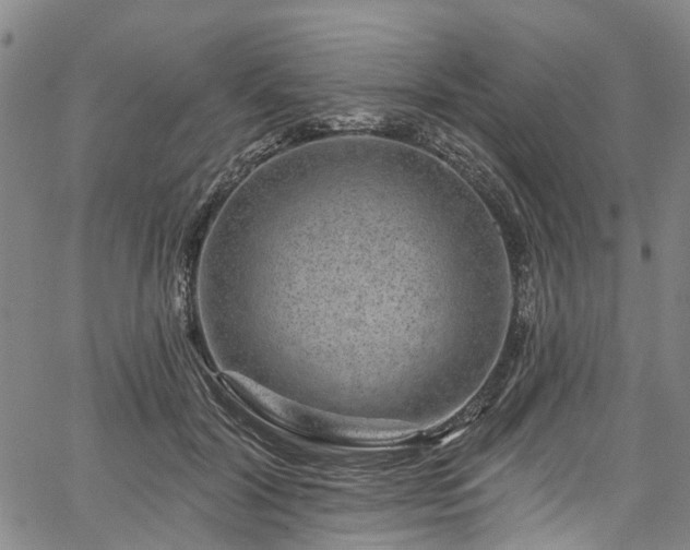 X0000067900604200604201337