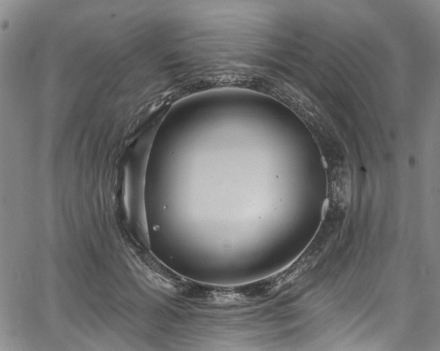 X0000067900605200604201337