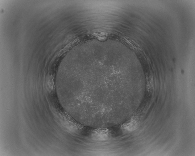 X0000067900606200604201337