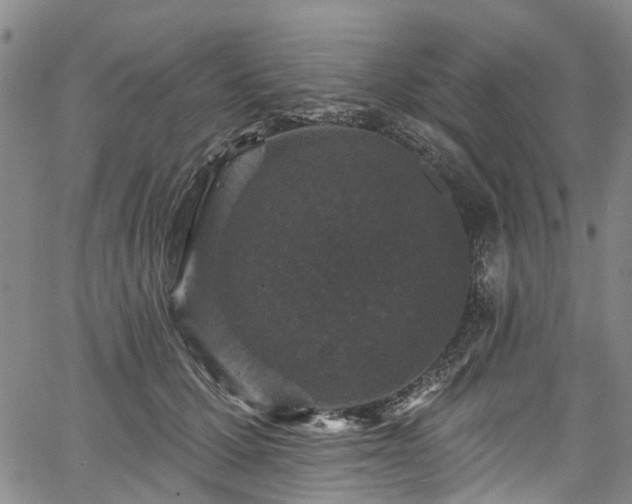 X0000067900607200604201337