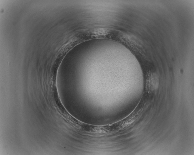 X0000067900608200604201336