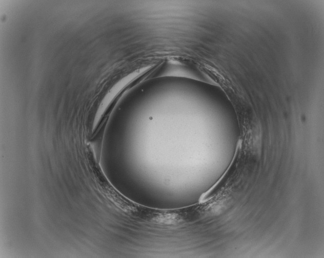 X0000067900609200604201336