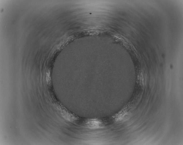 X0000067900610200604201336