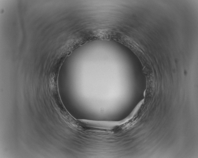 X0000067900611200604201336