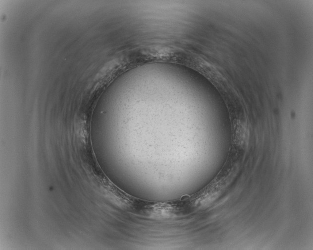 X0000067900612200604201336