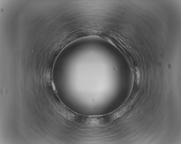 X0000067900613200604201336