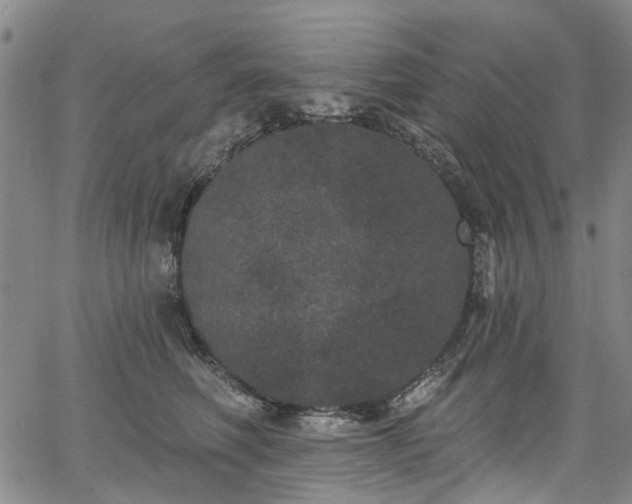 X0000067900614200604201336