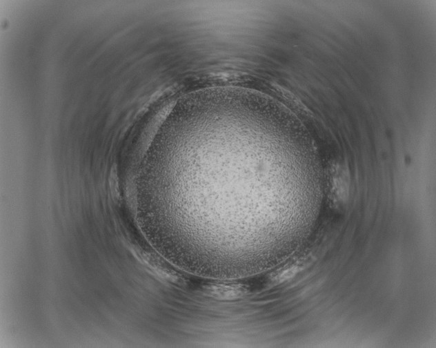 X0000067900615200604201336