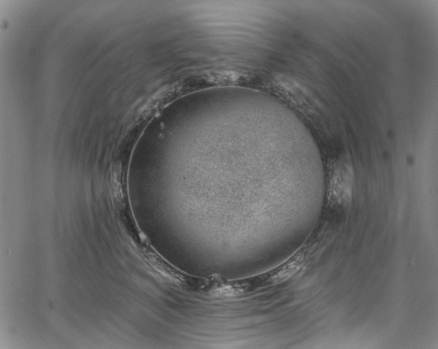 X0000067900616200604201336