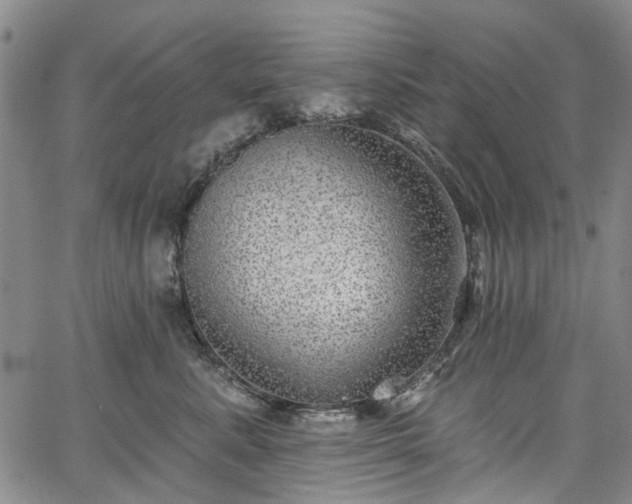 X0000067900619200604201336