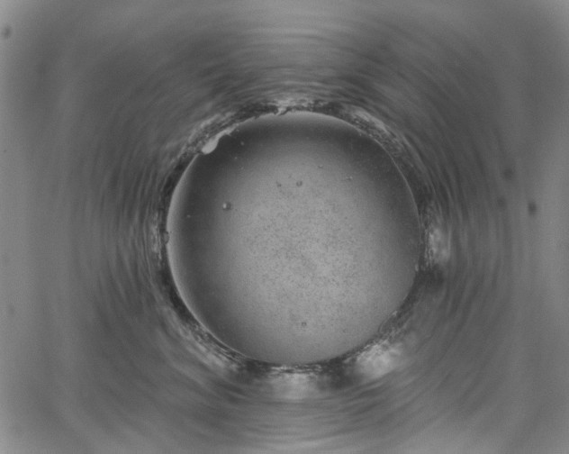 X0000067900620200604201336