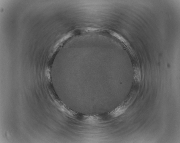 X0000067900621200604201336