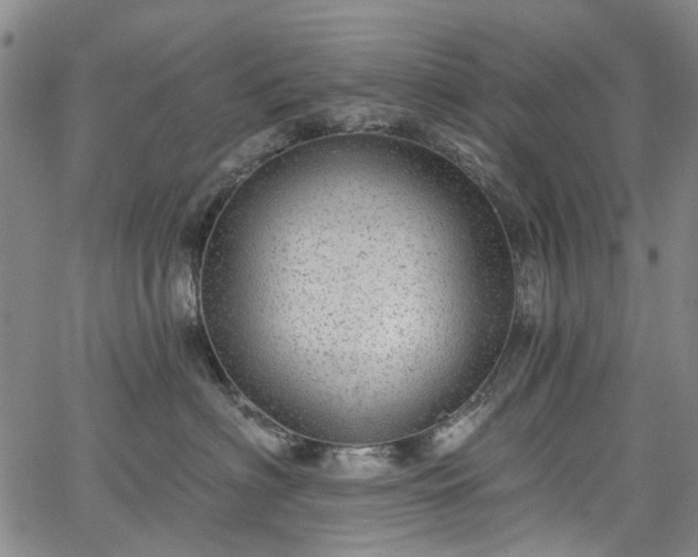 X0000067900622200604201336