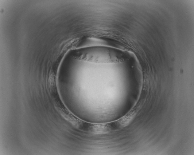 X0000067900623200604201336