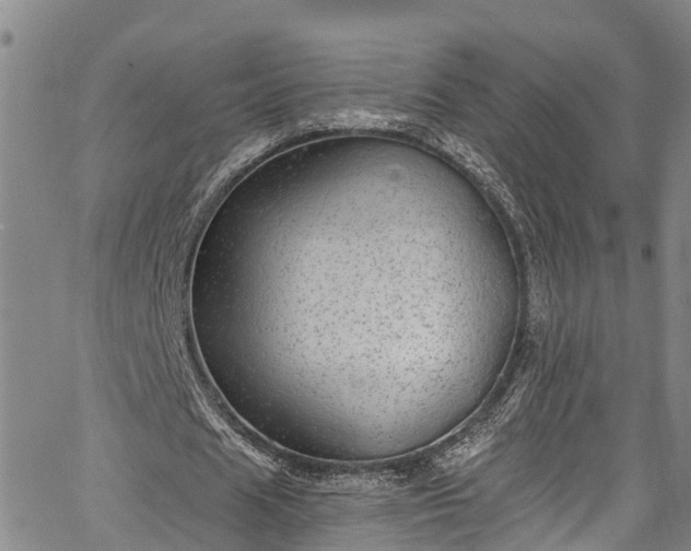 X0000067900625200604201335