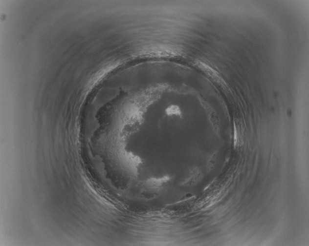 X0000067900627200604201335