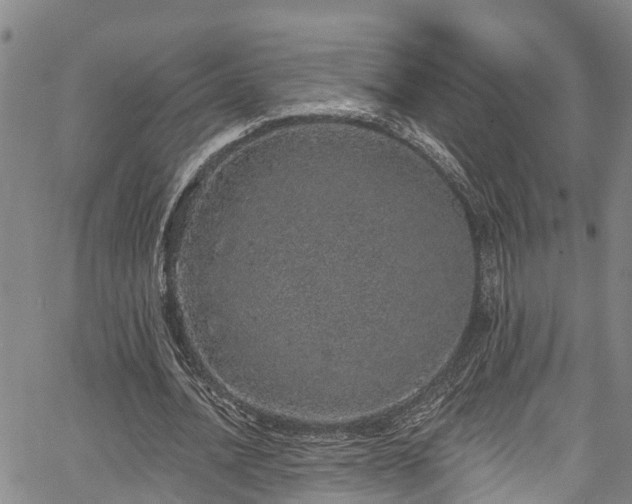 X0000067900628200604201335