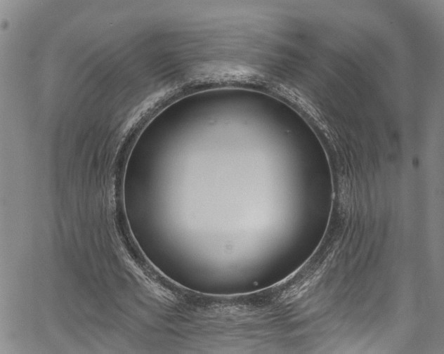 X0000067900629200604201335