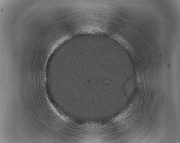 X0000067900630200604201336