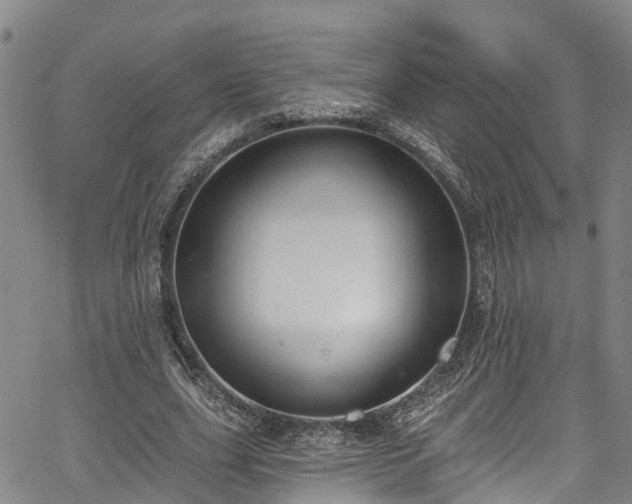 X0000067900631200604201336